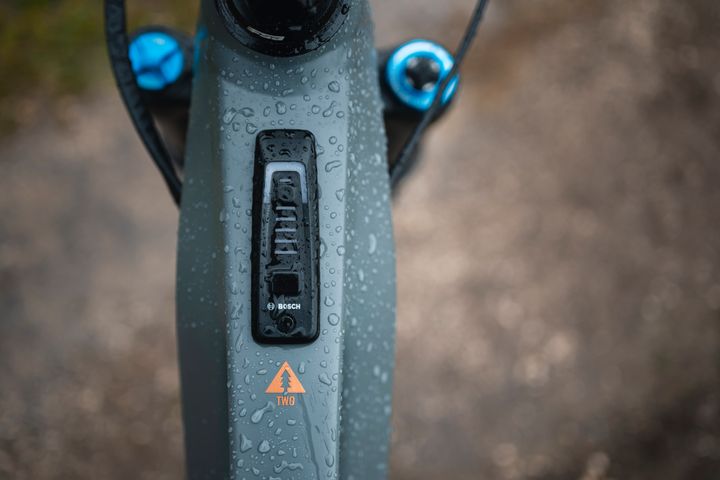 Marin Alpine Trail E2 Bosch controller
