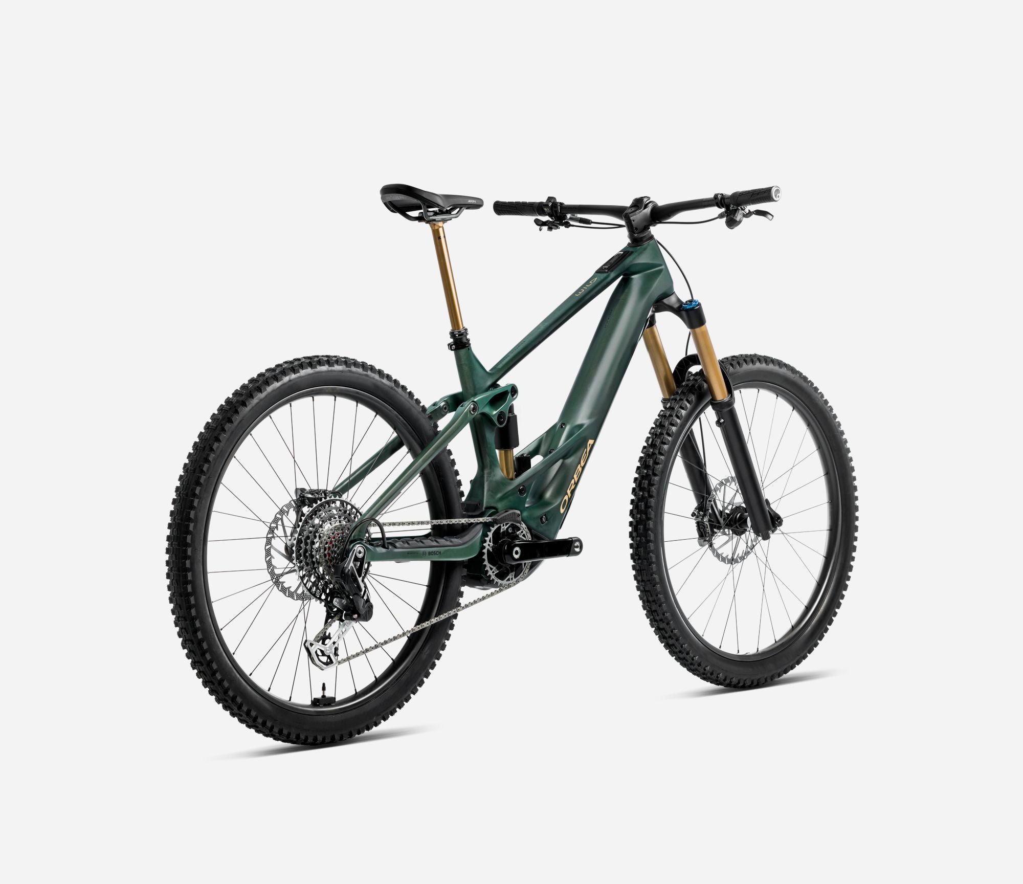 2025 Orbea Wild M10 Forest Green Rear View