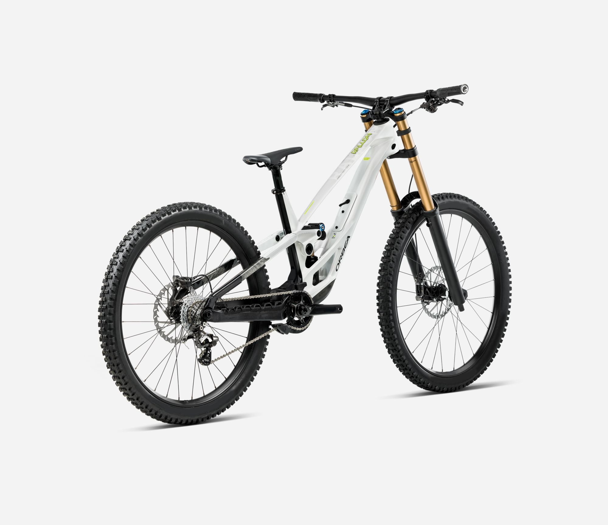 Orbea Rallon D-LTD Rear View