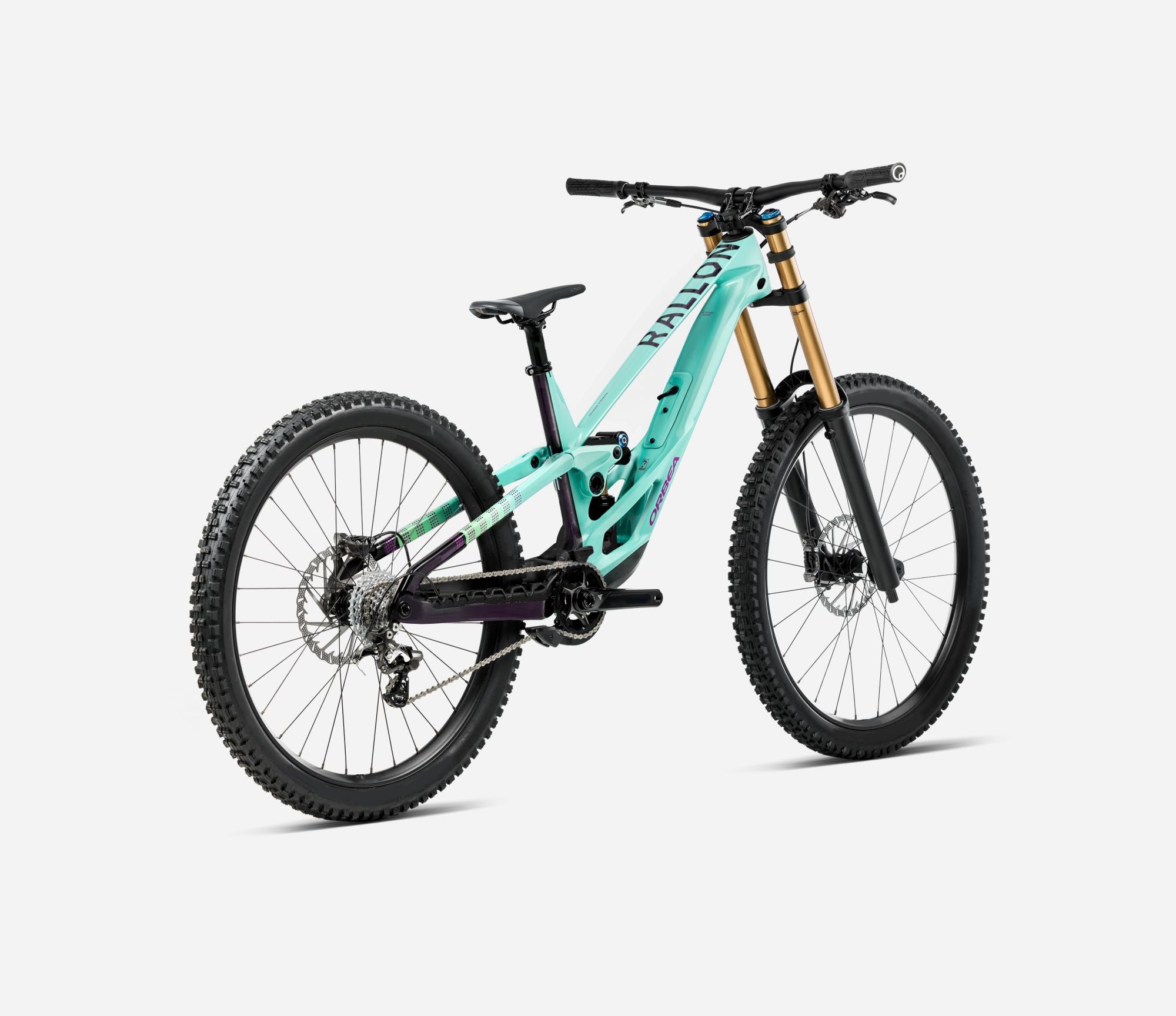 Orbea Rallon D-LTD Rear View