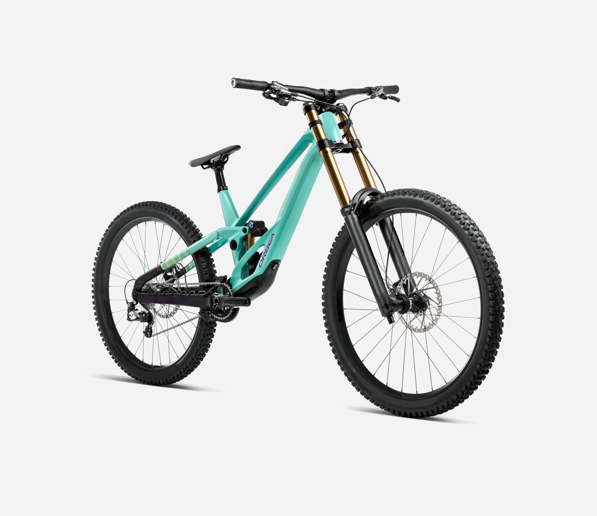 Orbea Rallon D-LTD Front View