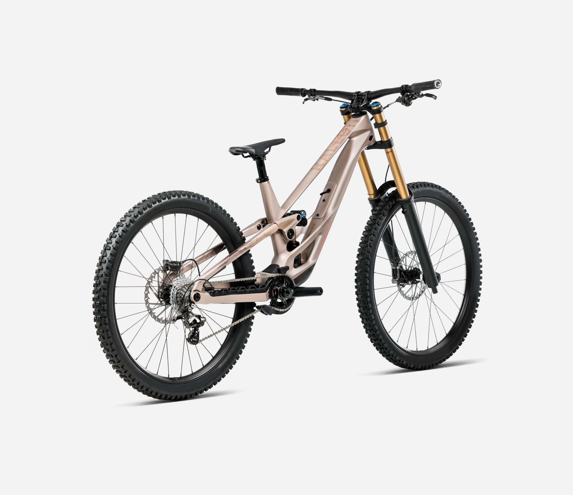 Orbea Rallon D-LTD Rear View