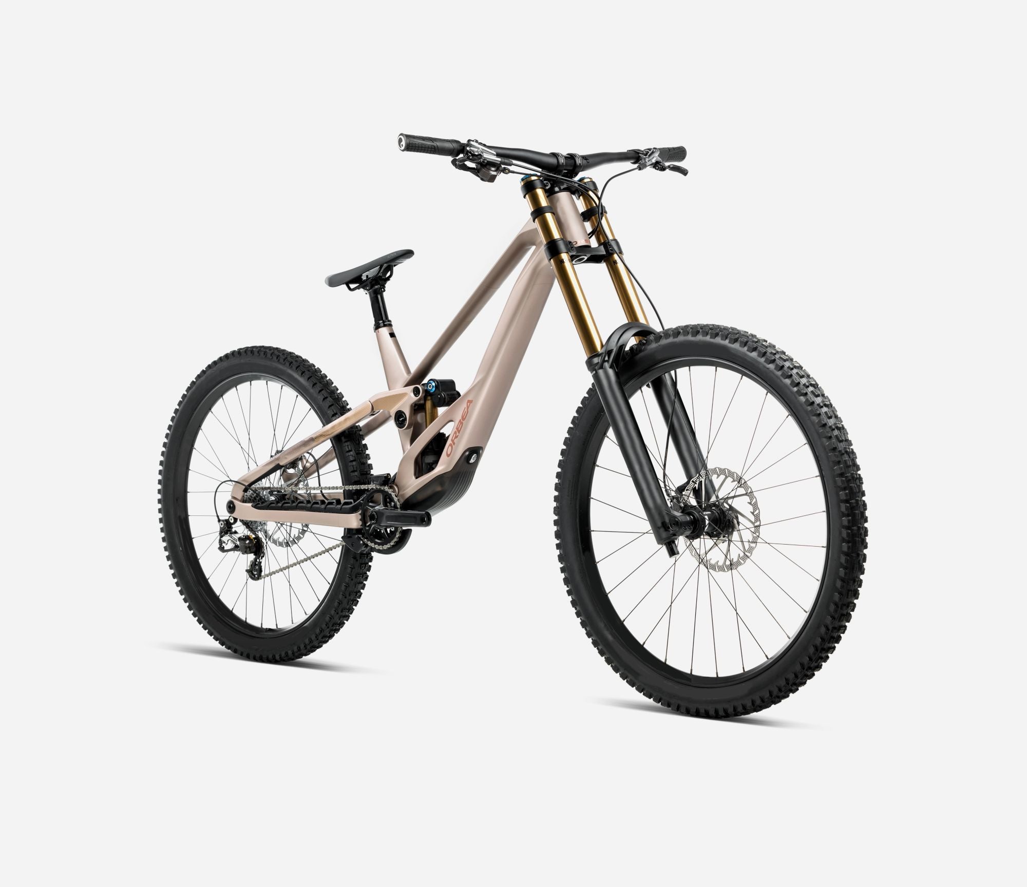 Orbea Rallon D-LTD Front View