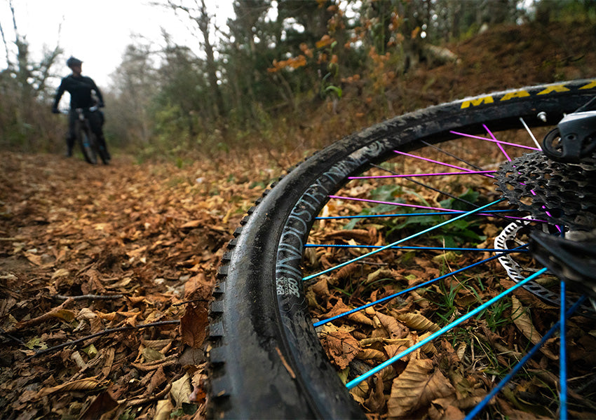 Industry Nine hydra 2