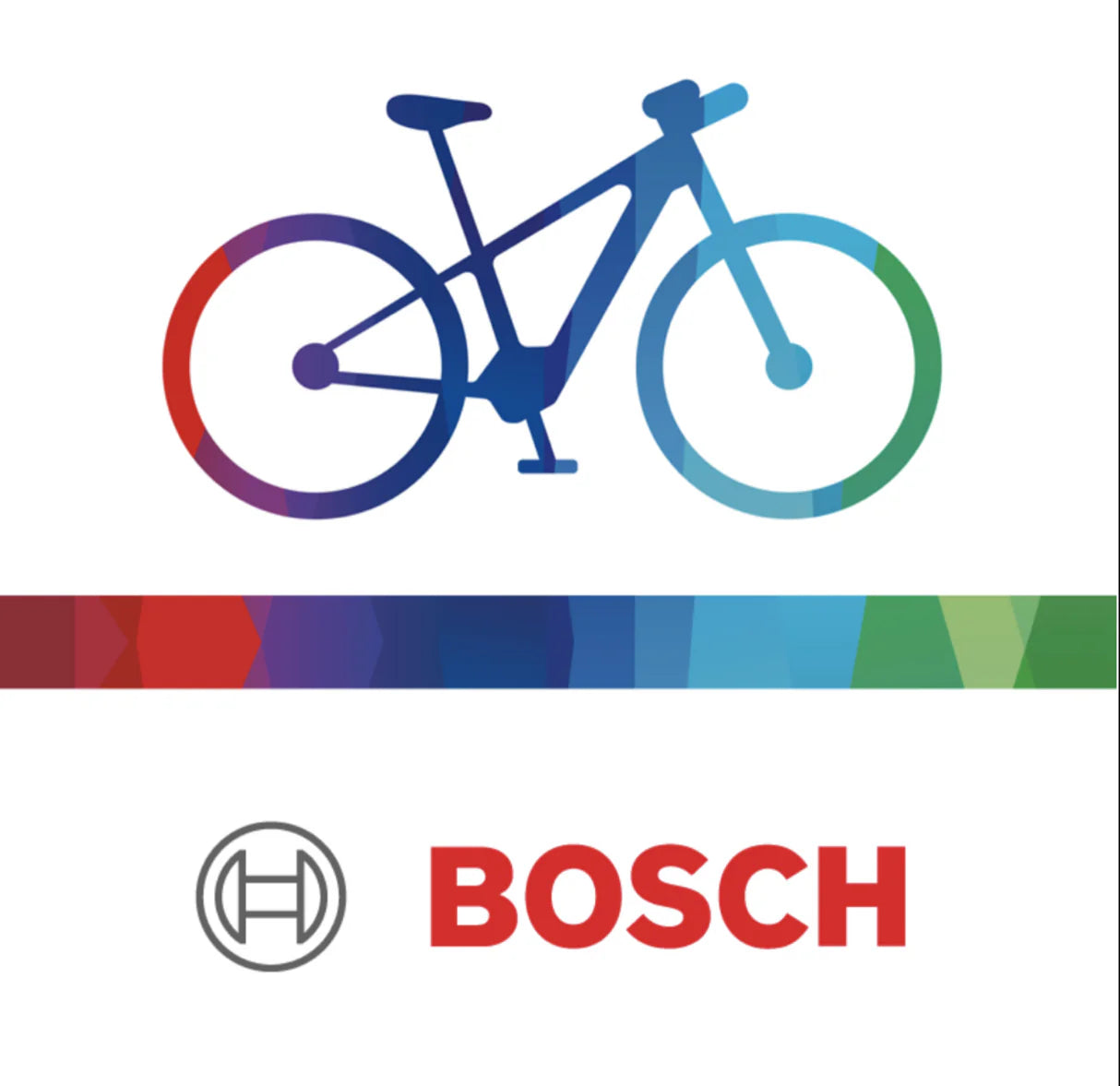 Bosch ebike service