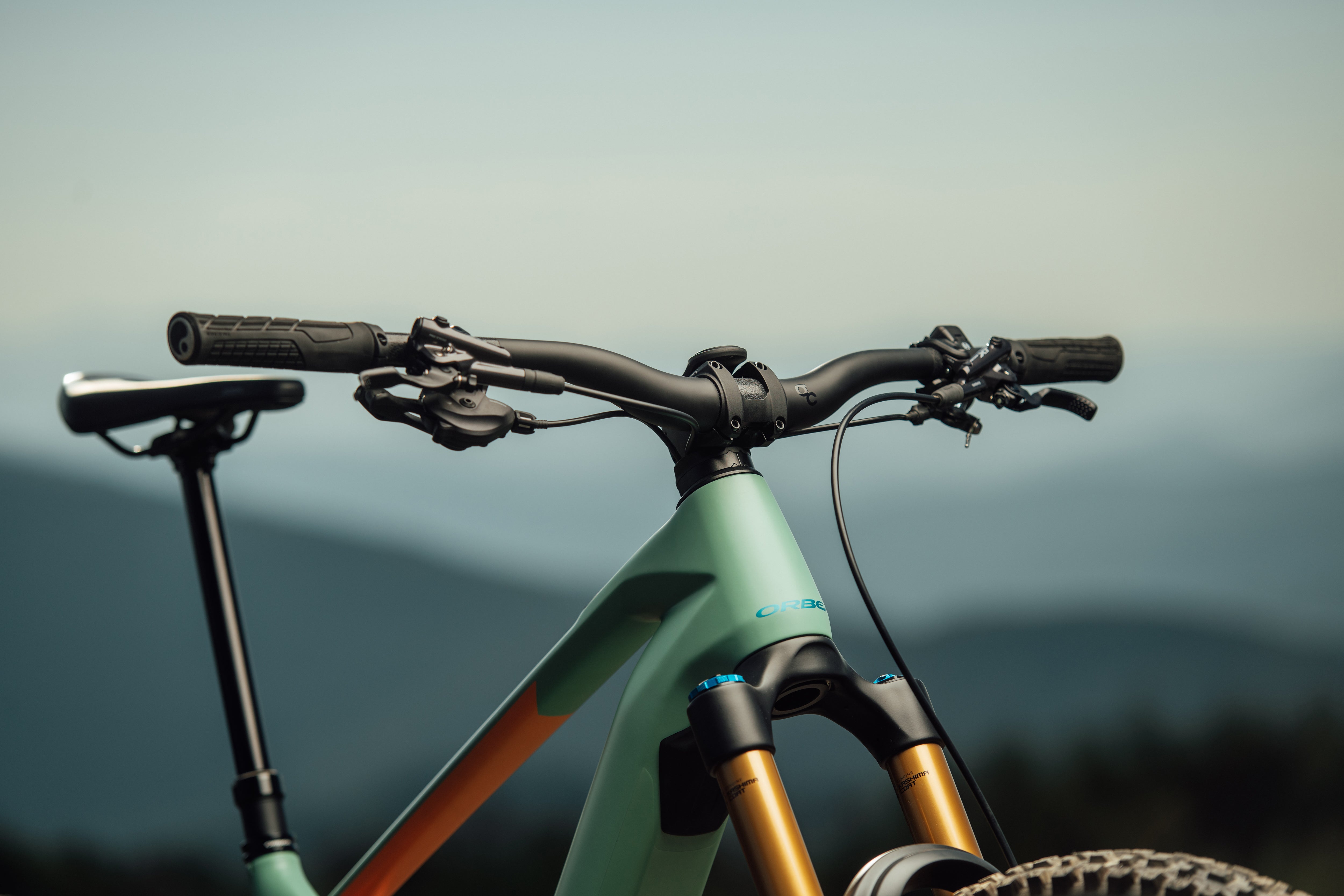 Orbea Wild 2025 Cockpit