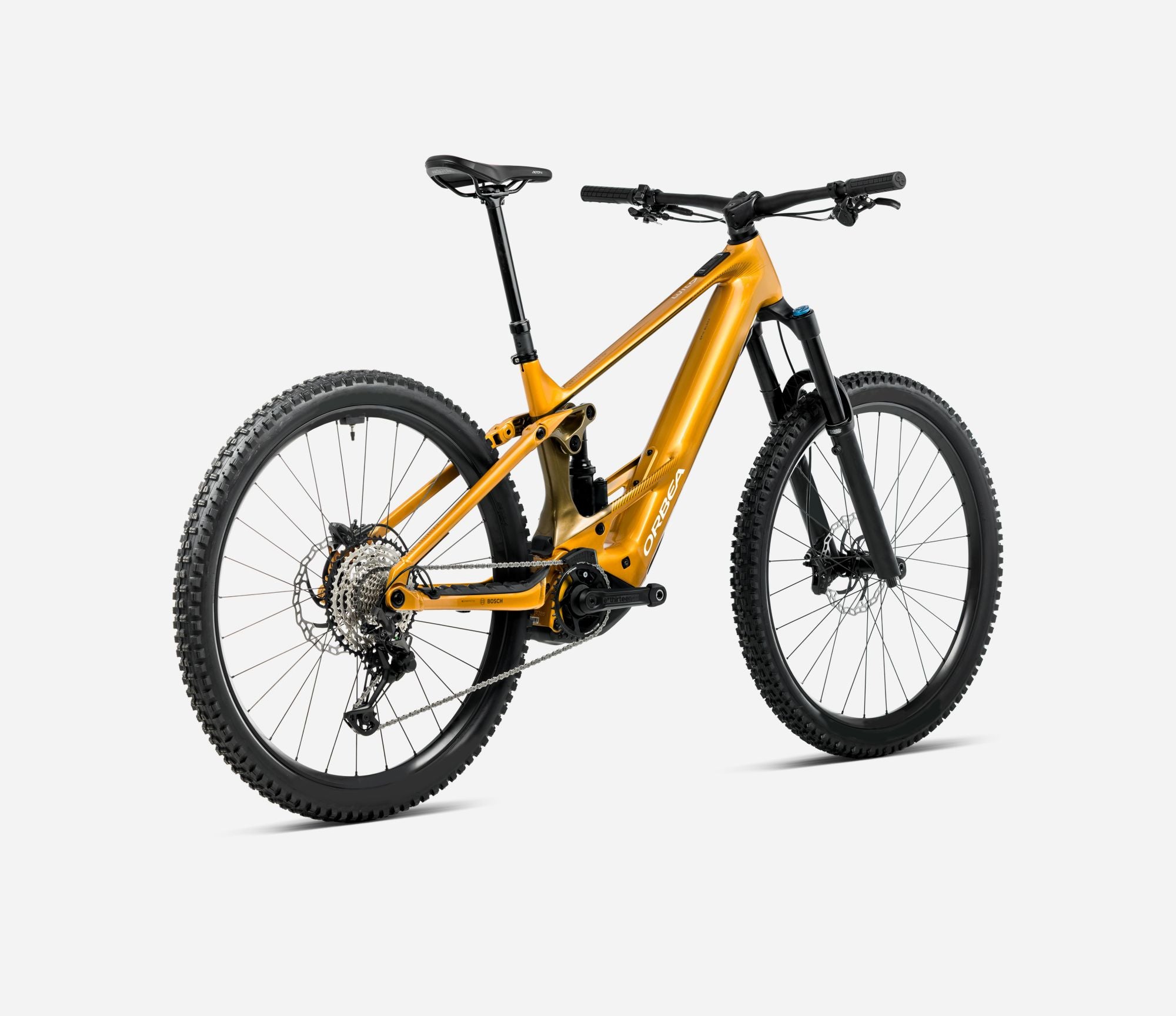 2026 Orbea Wild h20 bumblebee rear view