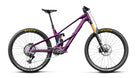 orbea wild avinox